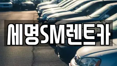 부산광역시 영도구 대평동1가 렌트카 전문 세명SM렌트카