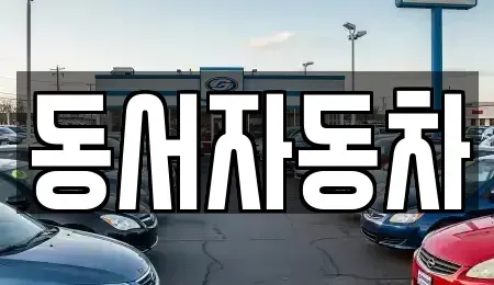 부산광역시 영도구 대평동1가 중고차매매 전문 동서자동차