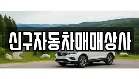 부산광역시 영도구 대평동1가 중고차매매 전문 신구자동차매매상사
