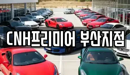 부산광역시 중구 광복동2가 렌트카 전문 CNH프리미어 부산지점