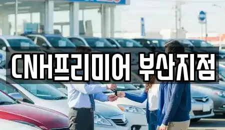부산광역시 중구 광복동2가 렌트카 전문 CNH프리미어 부산지점