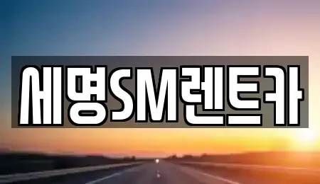 부산광역시 중구 광복동2가 렌트카 전문 세명SM렌트카