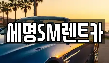 부산광역시 중구 광복동2가 렌트카 전문 세명SM렌트카