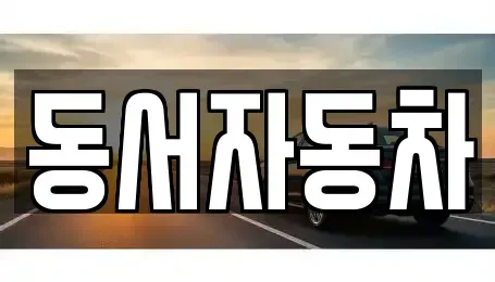 부산광역시 중구 광복동2가 중고차 전문 동서자동차