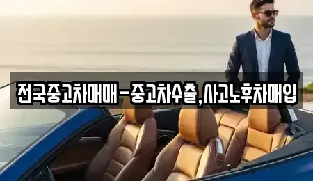 부산광역시 중구 광복동2가 중고차 전문 전국중고차매매-중고차수출,사고노후차매입