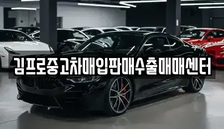 부산광역시 중구 광복동2가 중고차매입 전문 김프로중고차매입판매수출매매센터