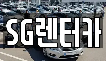 부산광역시 중구 광복동3가 렌트카 전문 SG렌터카