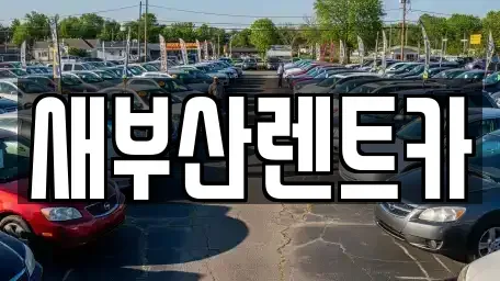 부산광역시 중구 광복동3가 렌트카 전문 새부산렌트카