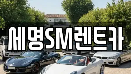 부산광역시 중구 광복동3가 렌트카 전문 세명SM렌트카