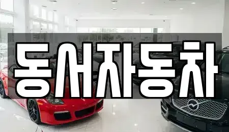 부산광역시 중구 광복동3가 중고차매매 전문 동서자동차