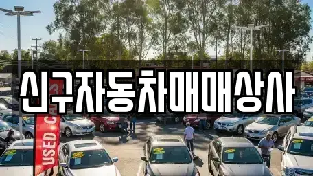부산광역시 중구 광복동3가 중고차매매,단기렌트카,중고차매입,장기렌트카,중고차,렌트카