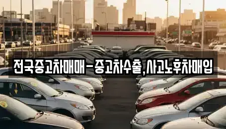 부산광역시 중구 광복동3가 중고차매매 전문 전국중고차매매-중고차수출,사고노후차매입