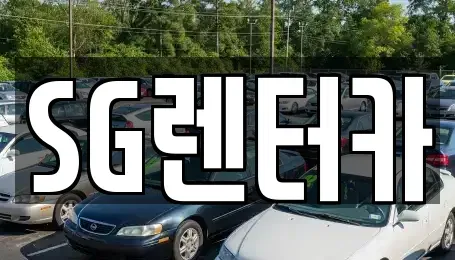 부산광역시 중구 남포동5가 렌트카 전문 SG렌터카