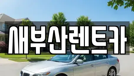 부산광역시 중구 남포동5가 렌트카 전문 새부산렌트카