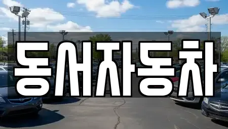 부산광역시 중구 남포동5가 중고차매매 전문 동서자동차