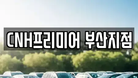 부산광역시 중구 동광동4가 렌트카 전문 CNH프리미어 부산지점