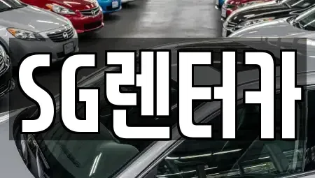 부산광역시 중구 동광동4가 렌트카 전문 SG렌터카