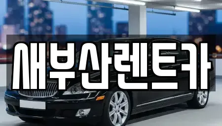 부산광역시 중구 동광동4가 렌트카 전문 새부산렌트카