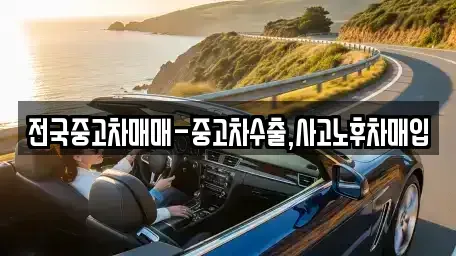 부산광역시 중구 동광동4가 중고차 전문 전국중고차매매-중고차수출,사고노후차매입