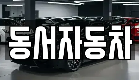 부산광역시 중구 동광동5가 중고차매매 전문 동서자동차