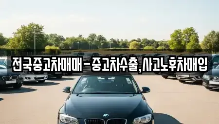 부산광역시 중구 동광동5가 중고차매매 전문 전국중고차매매-중고차수출,사고노후차매입
