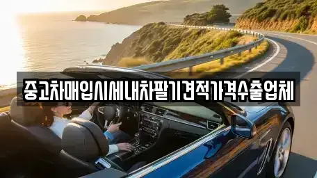 부산광역시 중구 동광동5가 중고차매입 전문 중고차매입시세내차팔기견적가격수출업체
