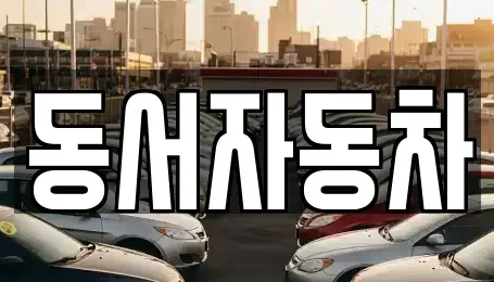 부산광역시 중구 보수동1가 중고차 전문 동서자동차