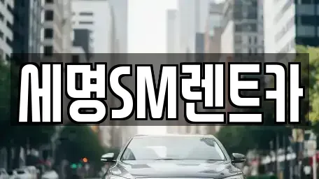 부산광역시 중구 중앙동1가 렌트카 전문 세명SM렌트카