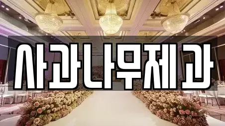 사과나무제과