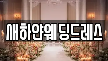 새하얀웨딩드레스
