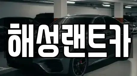 서울 강남구 역삼동 단기렌트카 전문 해성랜트카