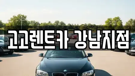 서울 강남구 역삼동 렌트카 전문 고고렌트카 강남지점