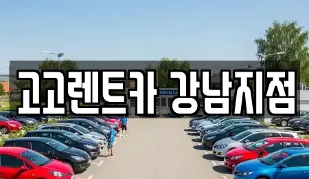 서울 강남구 역삼동 렌트카 전문 고고렌트카 강남지점