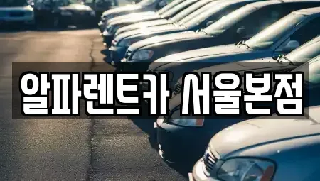 서울 강남구 역삼동 렌트카 전문 알파렌트카 서울본점