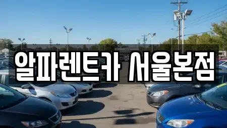 서울 강남구 역삼동 렌트카 전문 알파렌트카 서울본점