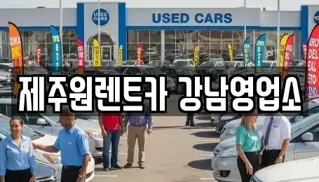 서울 강남구 역삼동 장기렌트카 전문 제주원렌트카 강남영업소