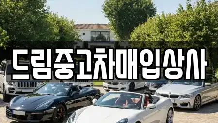 서울 강남구 역삼동 중고차 전문 드림중고차매입상사