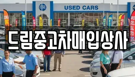 서울 강남구 역삼동 중고차매매 전문 드림중고차매입상사