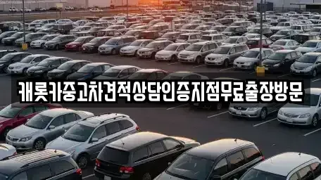 서울 강남구 역삼동 중고차매매 전문 캐롯카중고차견적상담인증지점무료출장방문