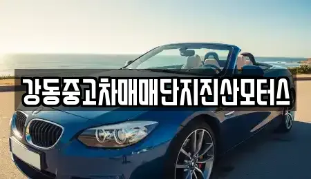 서울 강동구 성내동 중고차 전문 강동중고차매매단지진산모터스