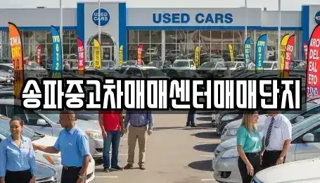 서울 강동구 성내동 중고차 전문 송파중고차매매센터매매단지