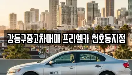 서울 강동구 성내동 중고차매매 전문 강동구중고차매매 프리셀카 천호동지점