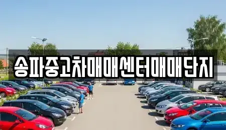 서울 강동구 성내동 중고차매매 전문 송파중고차매매센터매매단지
