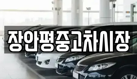 서울 강동구 성내동 중고차매매 전문 장안평중고차시장