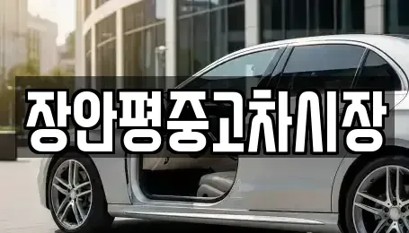 서울 강동구 성내동 중고차매매 전문 장안평중고차시장