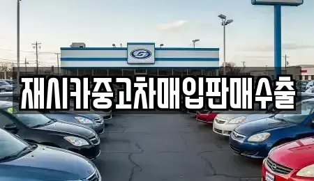 서울 강동구 성내동 중고차매입 전문 재시카중고차매입판매수출