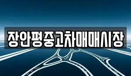 서울 강북구 미아동 중고차 전문 장안평중고차매매시장