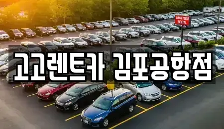 서울 강서구 오곡동 렌트카 전문 고고렌트카 김포공항점