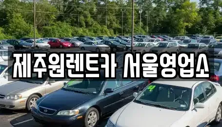 서울 강서구 오곡동 렌트카 전문 제주원렌트카 서울영업소