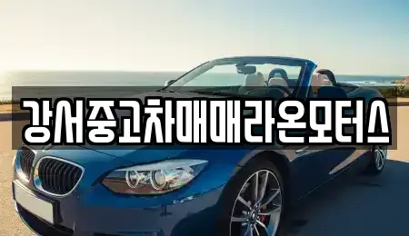 서울 강서구 오곡동 중고차매매 전문 강서중고차매매라온모터스